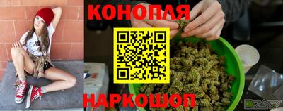 прущие грибы Обь