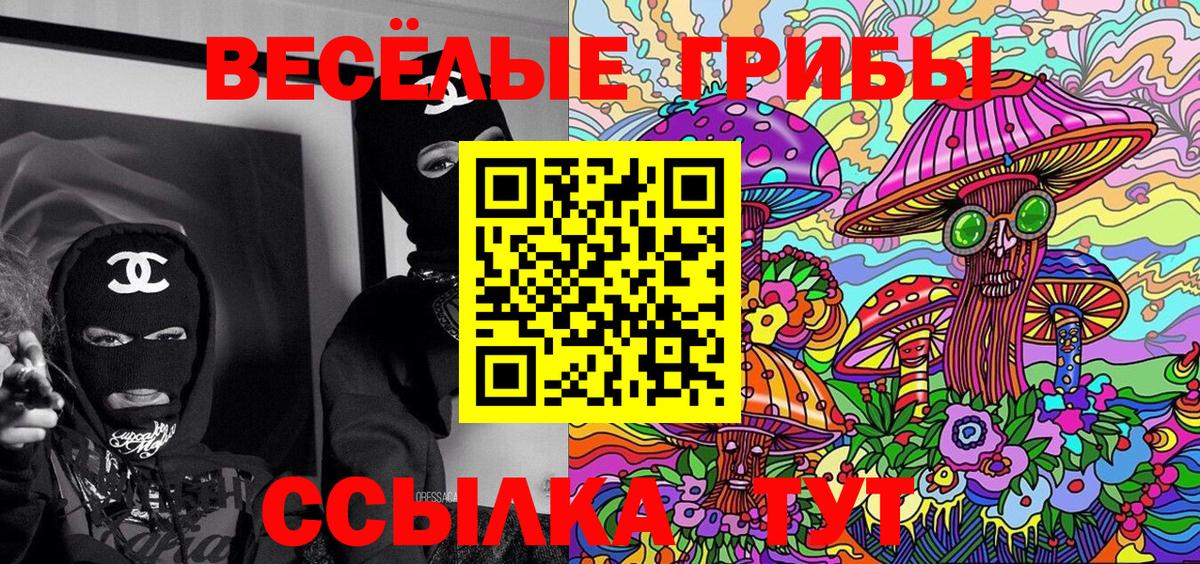 Галлюциногенные грибы Psilocybine cubensis  Вход с VPN  Санкт-Петербург 