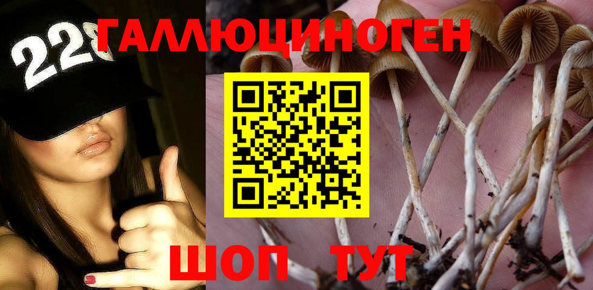 Галлюциногенные грибы мухоморы Санкт-Петербург